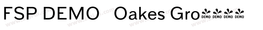 FSP DEMO   Oakes Gro字体转换